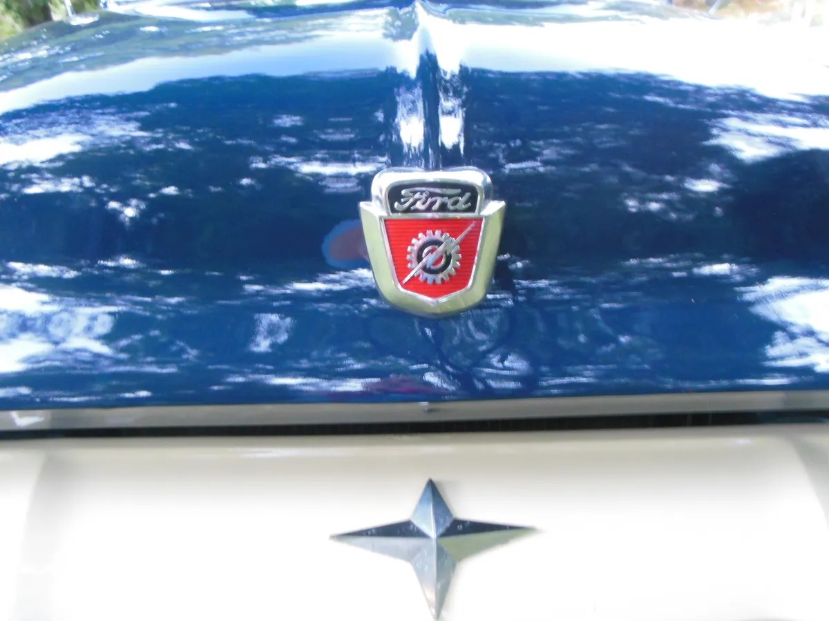 Ford-F-250-1954-Sheridan-Blue-Sheridan-Blue-13