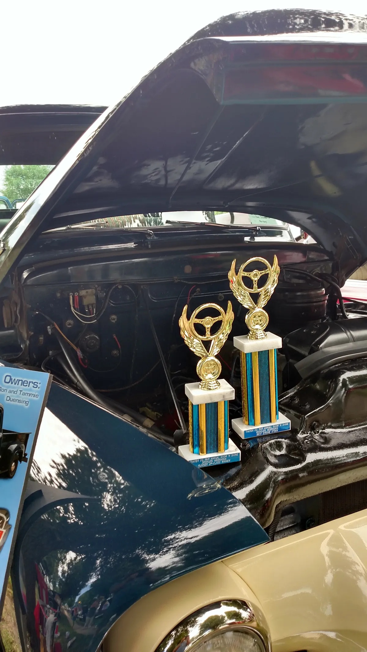 Ford-F-250-1954-Sheridan-Blue-Sheridan-Blue-9