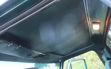 Ford-F-250-1977-Green-Green-5