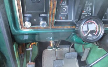 Ford-F-250-1977-Green-Green-9