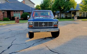 Ford-F-250-1983-Standard-Cab-Pickup-1