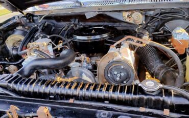 Ford-F-250-1983-Standard-Cab-Pickup-13