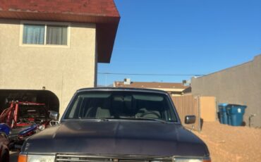 Ford-F-250-1990-3