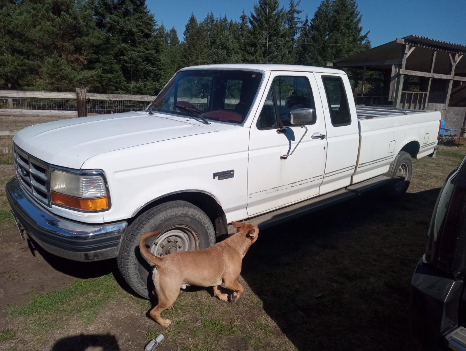 Ford F-250 1994 Extended Cab Pickup
