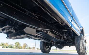 Ford-F-250-1995-Pickup-Truck-28