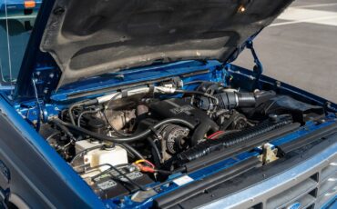 Ford-F-250-1995-Pickup-Truck-32