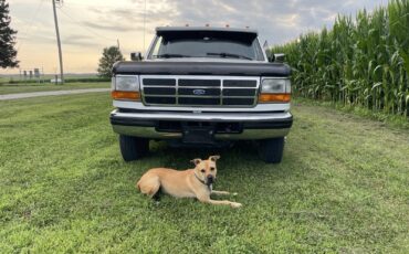 Ford-F-350-1994-1