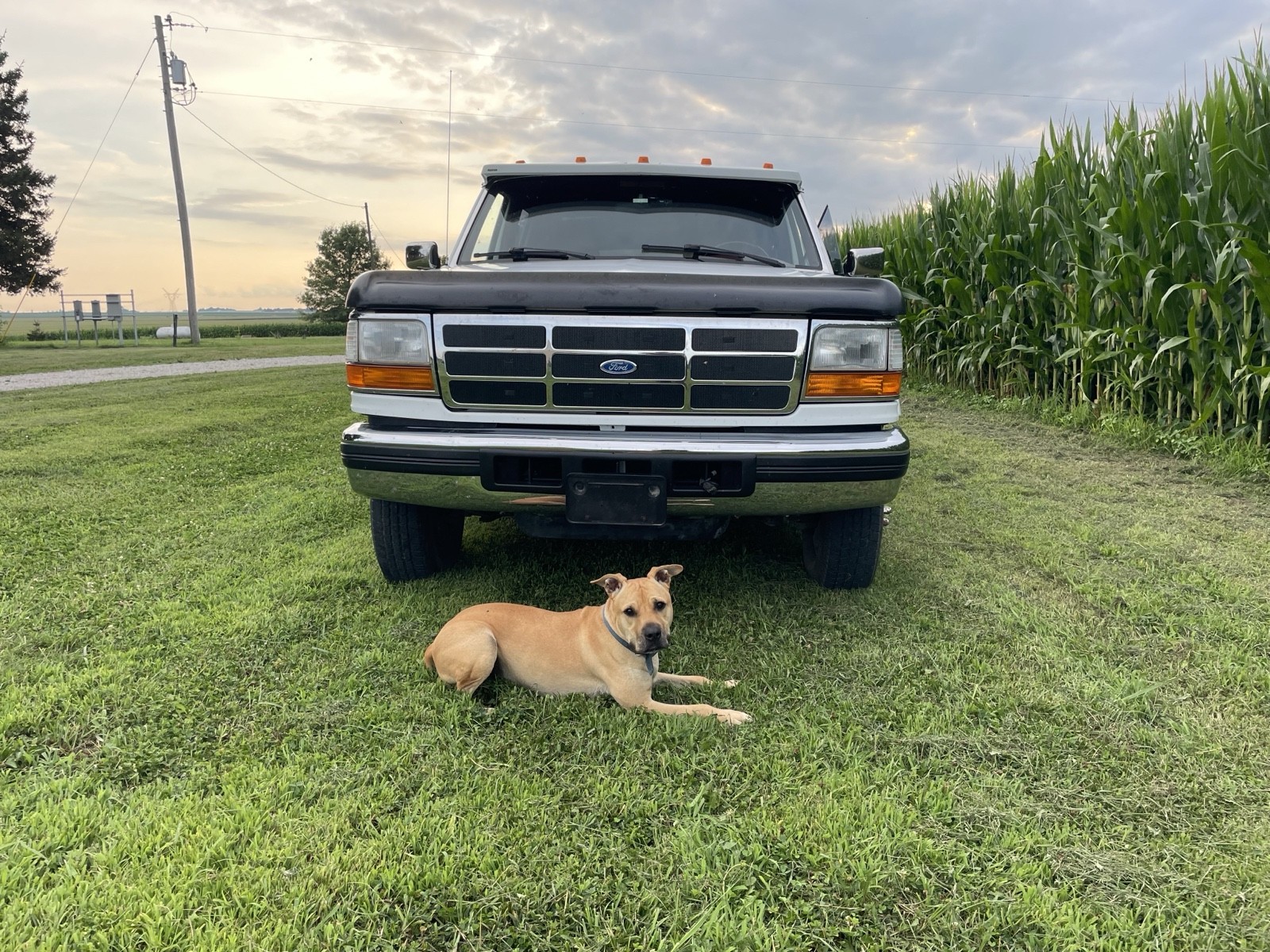 Ford-F-350-1994-1