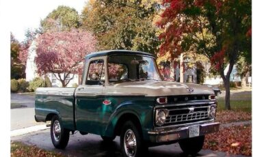 Ford-F-series-1966-Green-Green-11