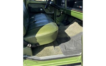 Ford-F100-1976-Medium-Glow-Green-Green-Vinyl-10