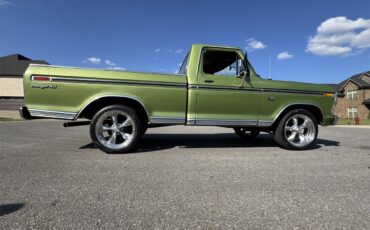 Ford-F100-1976-Medium-Glow-Green-Green-Vinyl-15