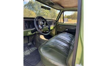 Ford-F100-1976-Medium-Glow-Green-Green-Vinyl-6