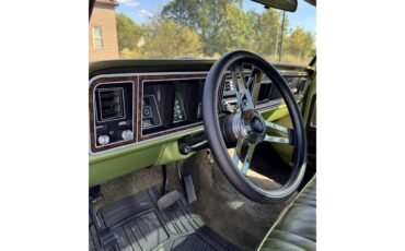 Ford-F100-1976-Medium-Glow-Green-Green-Vinyl-7