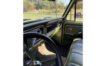 Ford-F100-1976-Medium-Glow-Green-Green-Vinyl-8