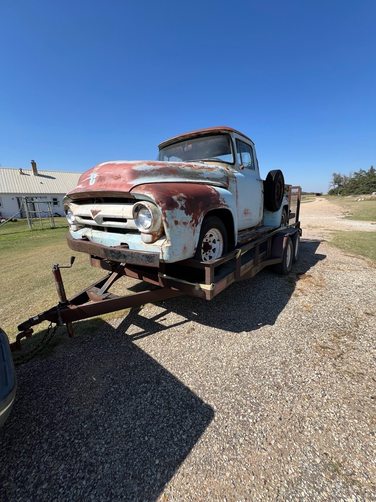 Ford-F250-1956-2