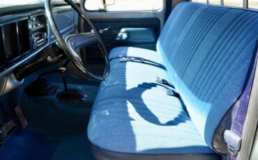 Ford-F250-1977-Silver-Metallic-Blue-Knit-Vinyl-29