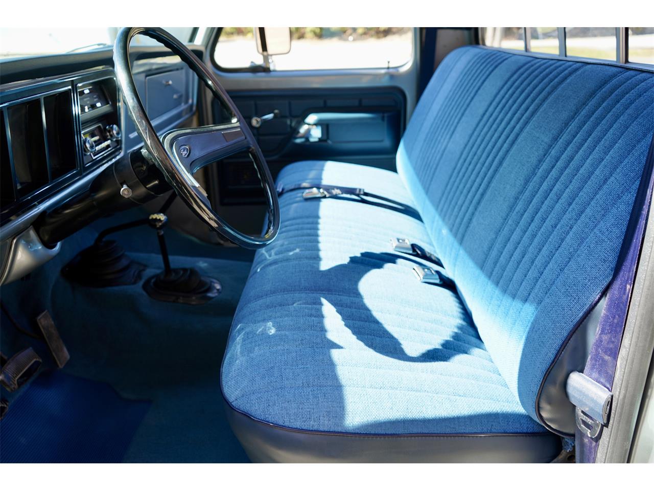 Ford-F250-1977-Silver-Metallic-Blue-Knit-Vinyl-29