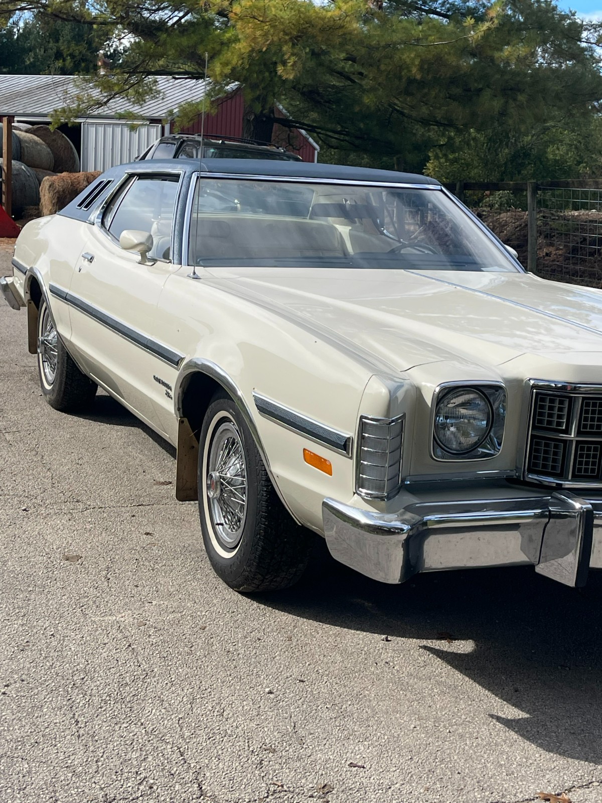 Ford-GRAN-TORINO-ELITE-1974-Other-6