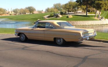 Ford-Galaxie-1964-Sahara-Beige-Sahara-Beige-8