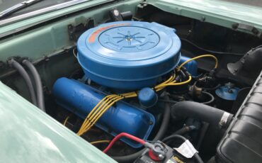 Ford-Galaxie-500-1959-Green-Green-20