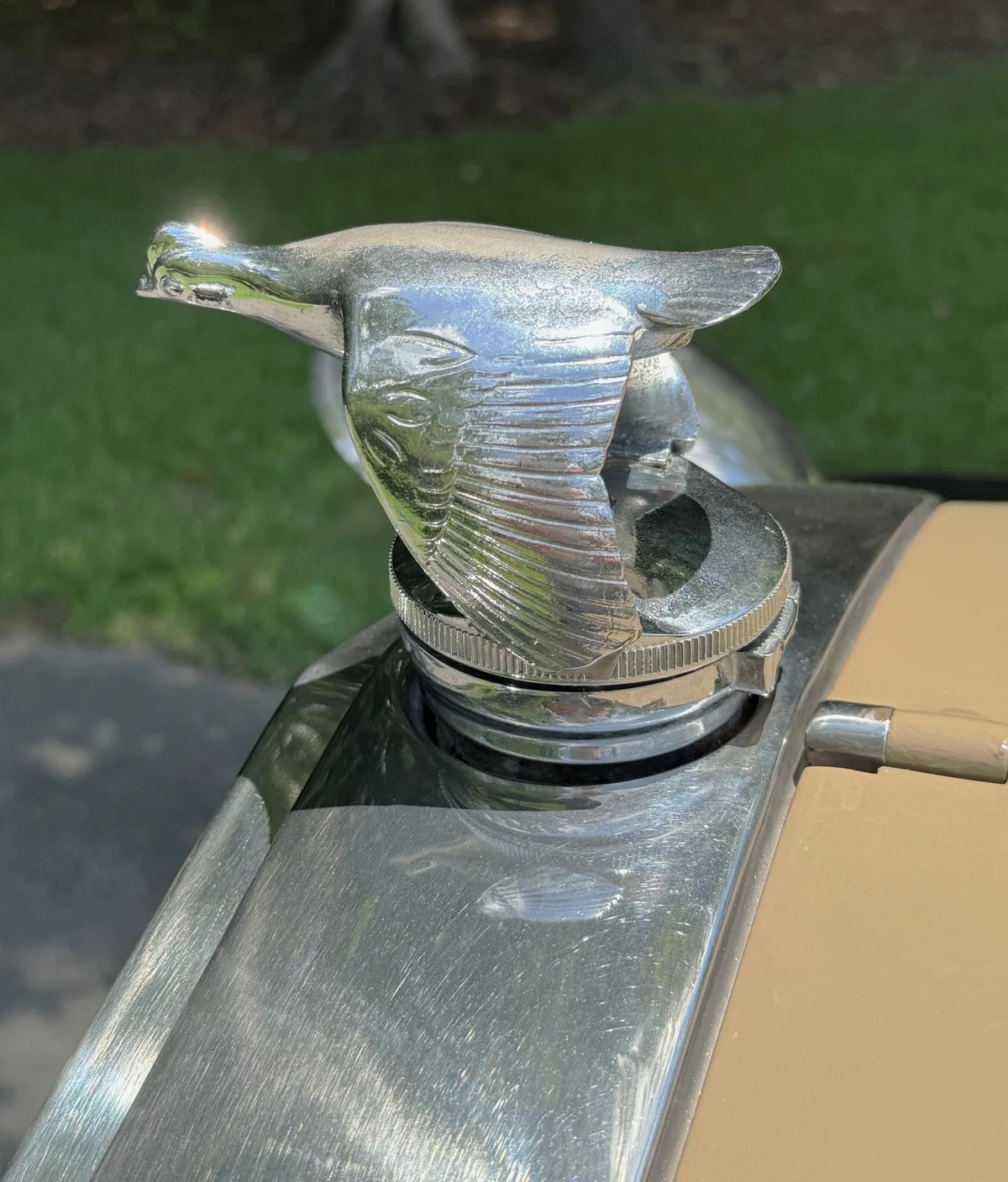 Ford-Model-a-1931-Tan-With-Black-Fenders-Tan-6