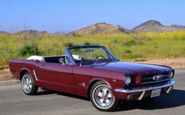 Ford-Mustang-1964-Maroon-Metalic-Black-Vinyl-1