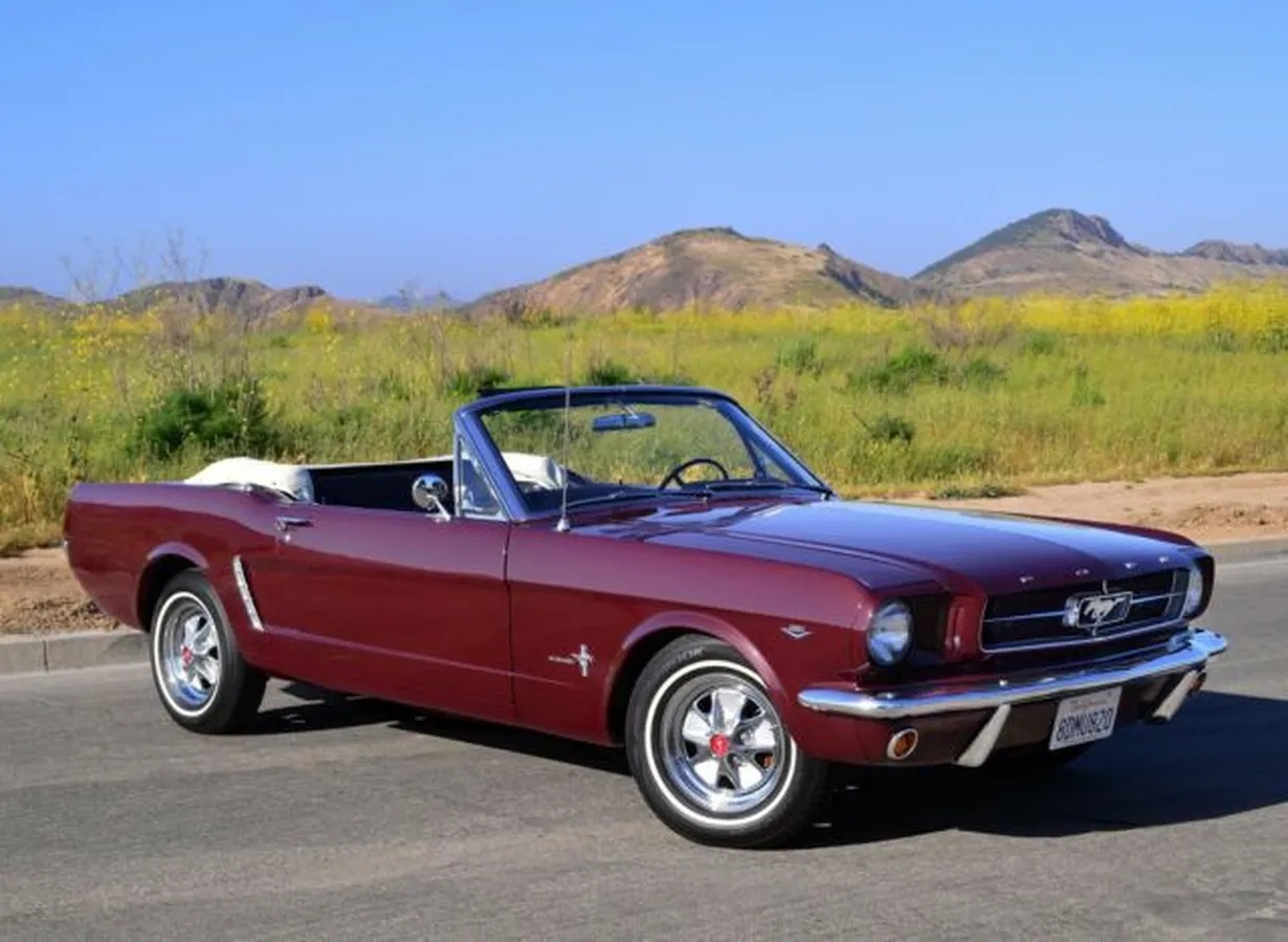 Ford-Mustang-1964-Maroon-Metalic-Black-Vinyl-1