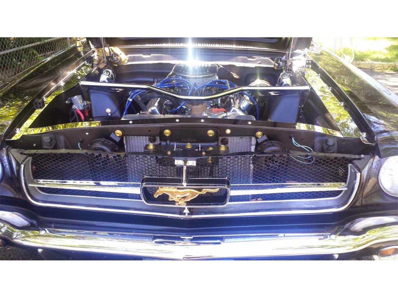 Ford-Mustang-1965-Black-Red-2