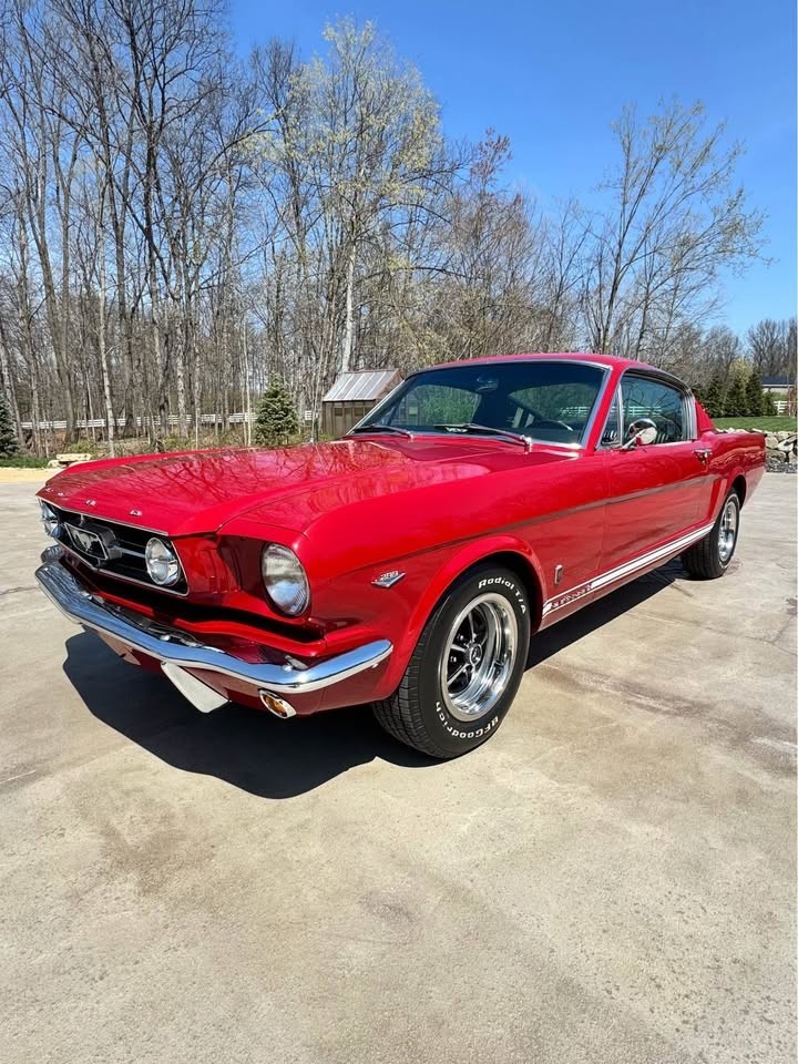 Ford-Mustang-1965-Fastback-9