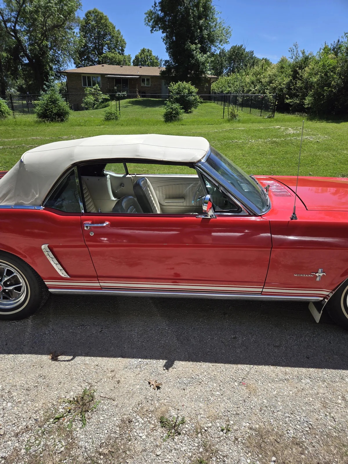 Ford-Mustang-1965-Red-White-19