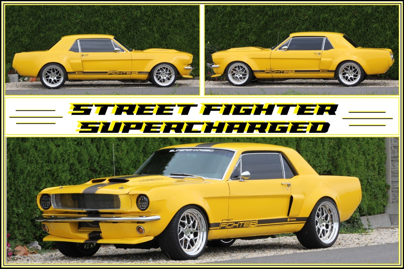 Ford Mustang 1965 WIDEBODY COUPE