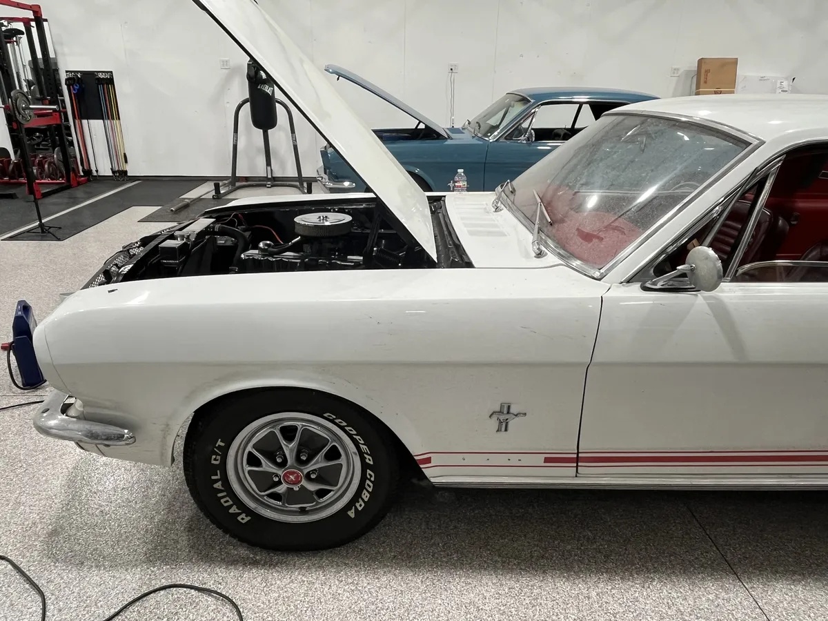 Ford-Mustang-1965-White-Red-4
