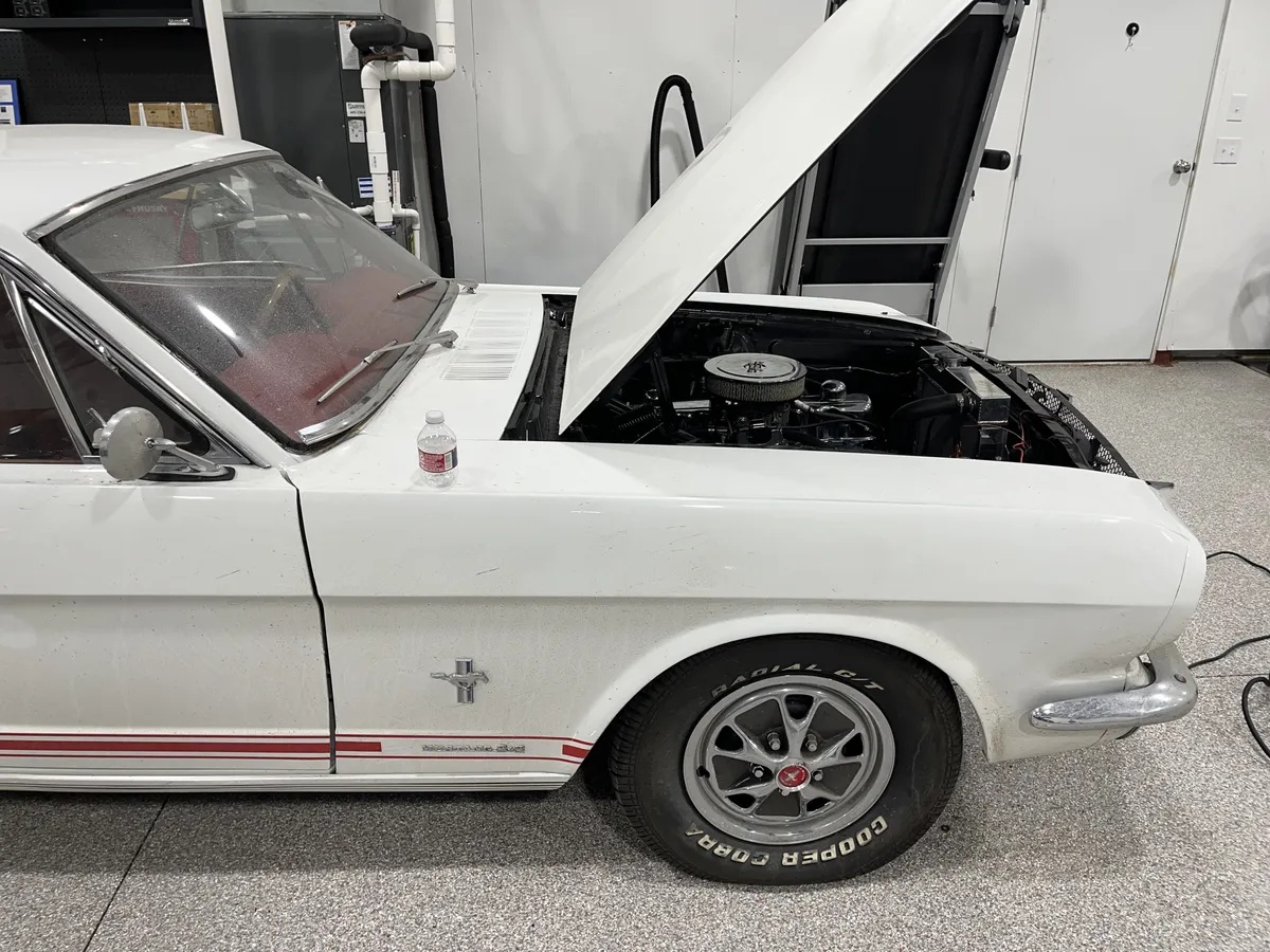 Ford-Mustang-1965-White-Red-7