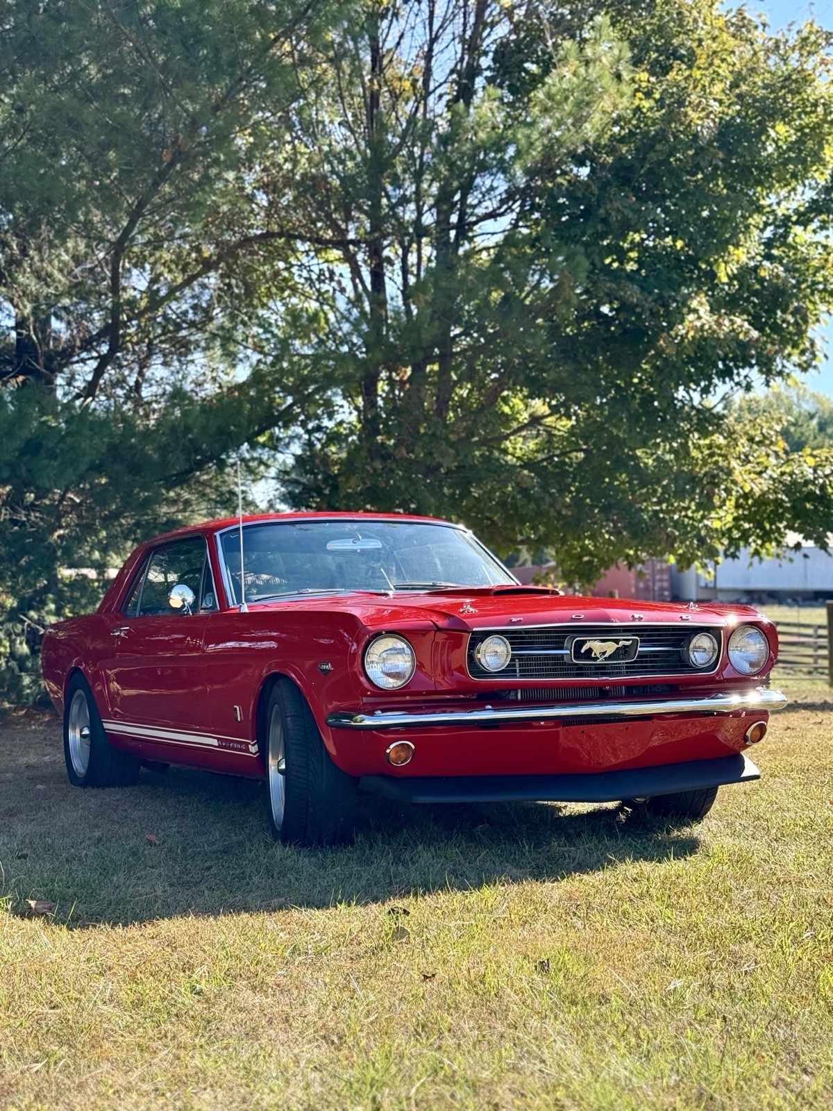 Ford-Mustang-1966-1