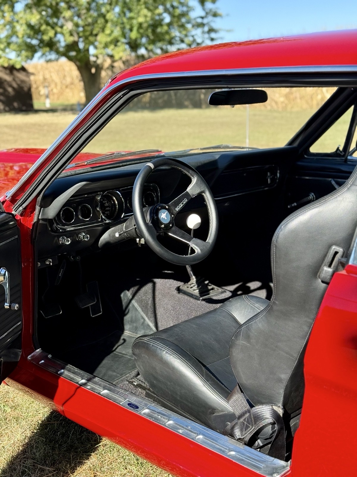 Ford-Mustang-1966-14