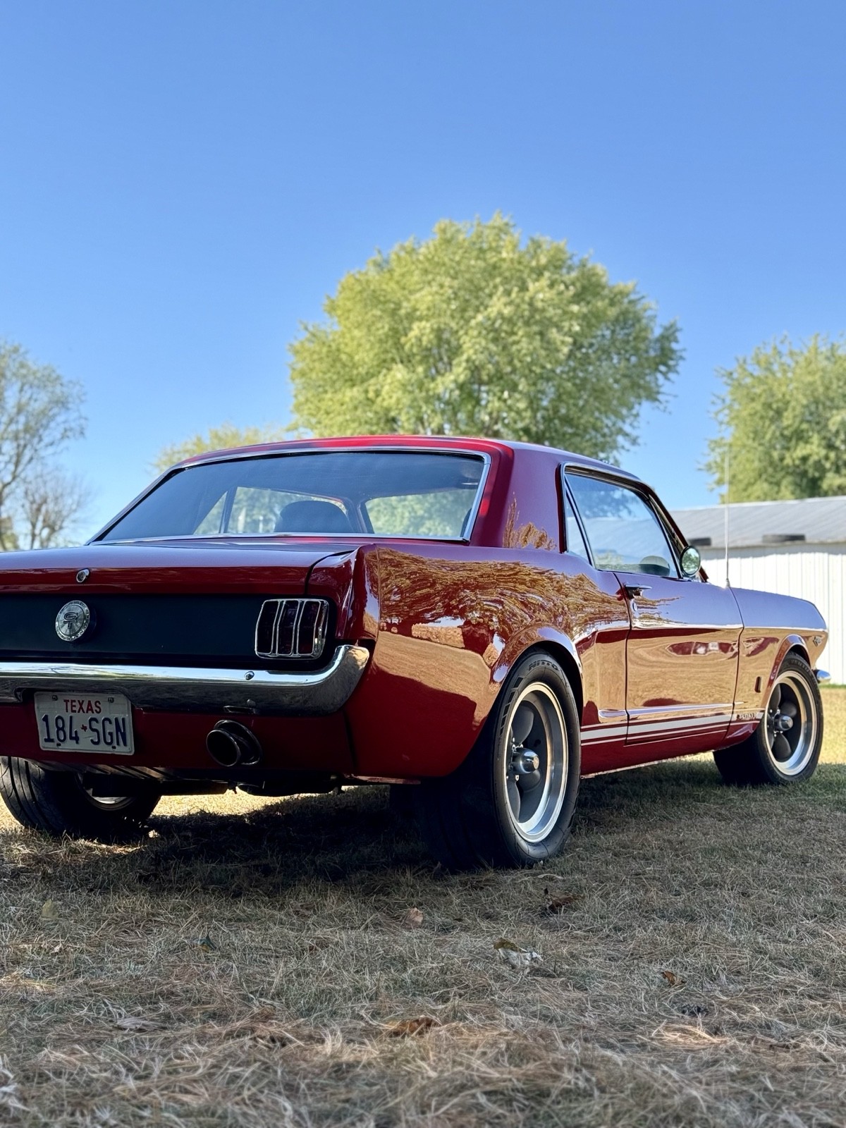 Ford-Mustang-1966-3