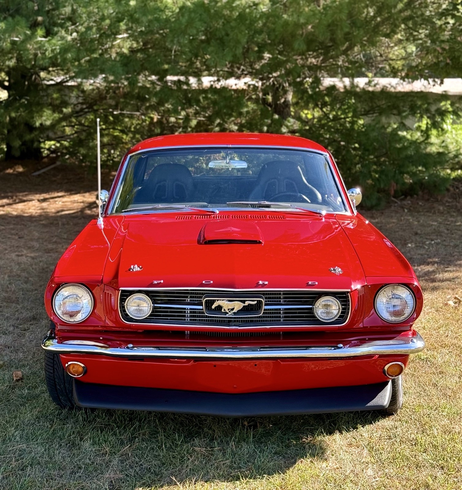 Ford Mustang 1966