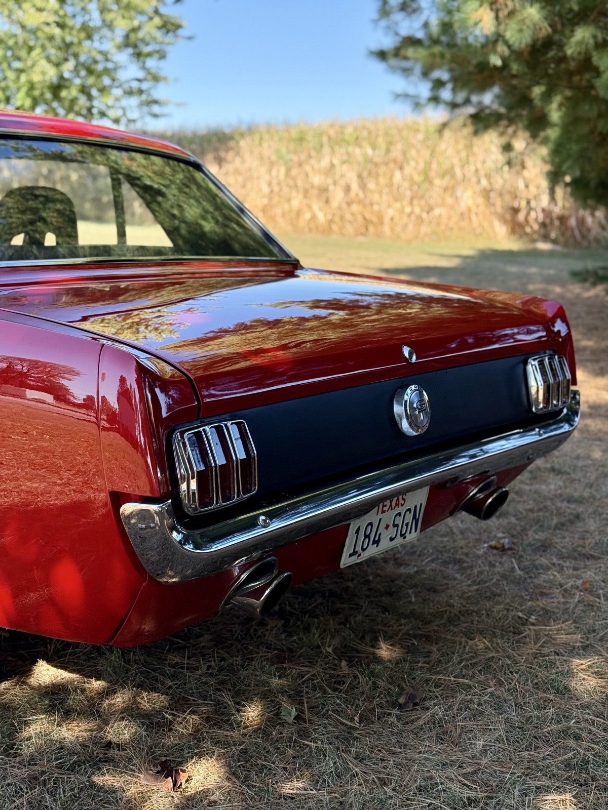 Ford-Mustang-1966-6