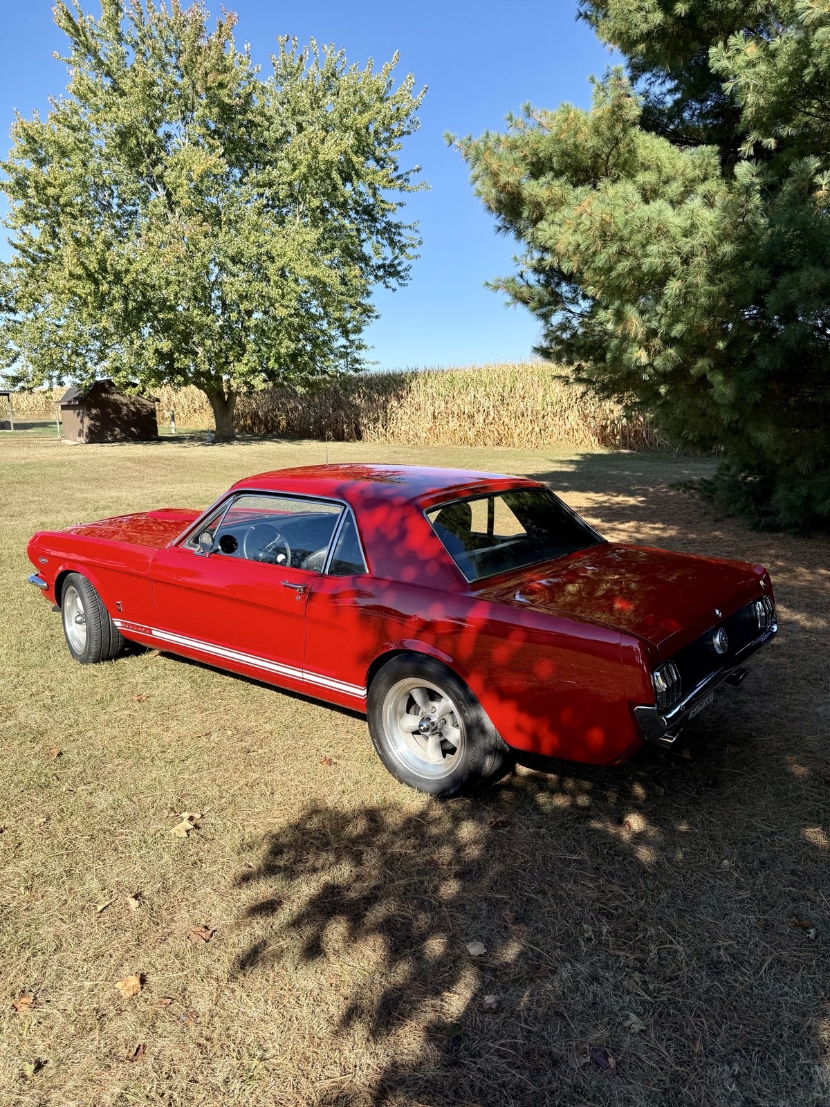 Ford-Mustang-1966-7