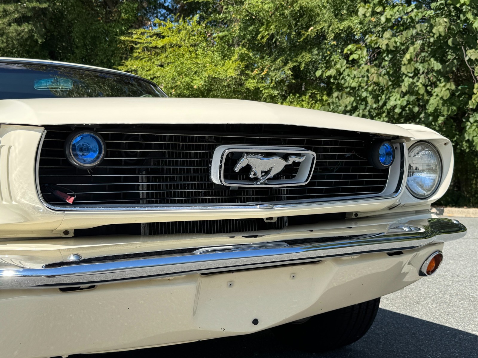 Ford-Mustang-1966-Coupe-16