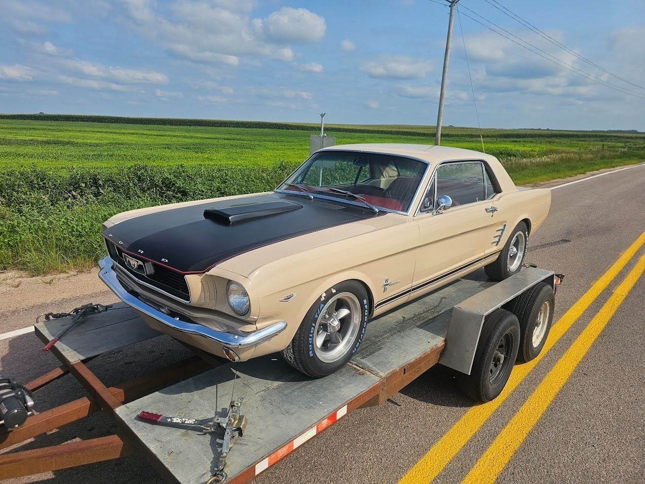 Ford-Mustang-1966-Coupe-2