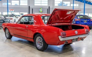 Ford-Mustang-1966-Other-15