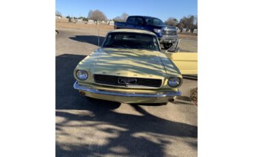 Ford-Mustang-1966-Yellow-Black-15