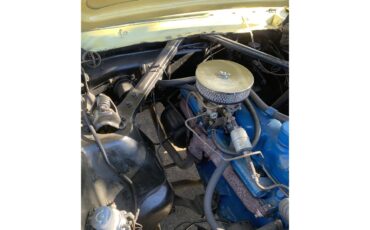 Ford-Mustang-1966-Yellow-Black-8