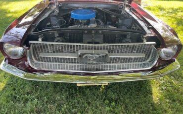 Ford-Mustang-1967-Burgandy-Red-Metallic-Black-2
