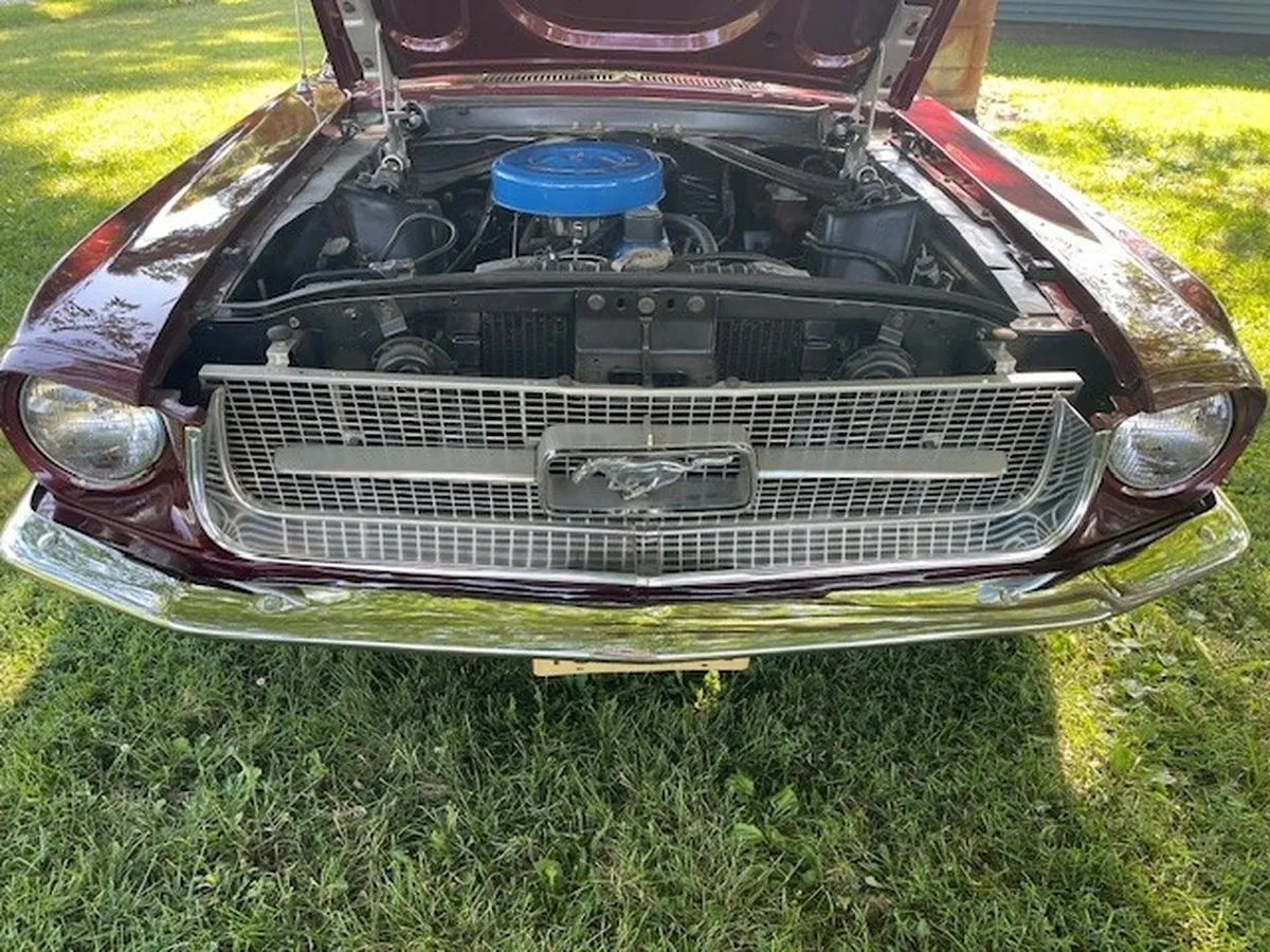 Ford-Mustang-1967-Burgandy-Red-Metallic-Black-2
