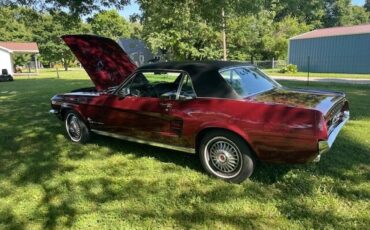 Ford-Mustang-1967-Burgandy-Red-Metallic-Black-5