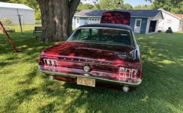 Ford-Mustang-1967-Burgandy-Red-Metallic-Black-6