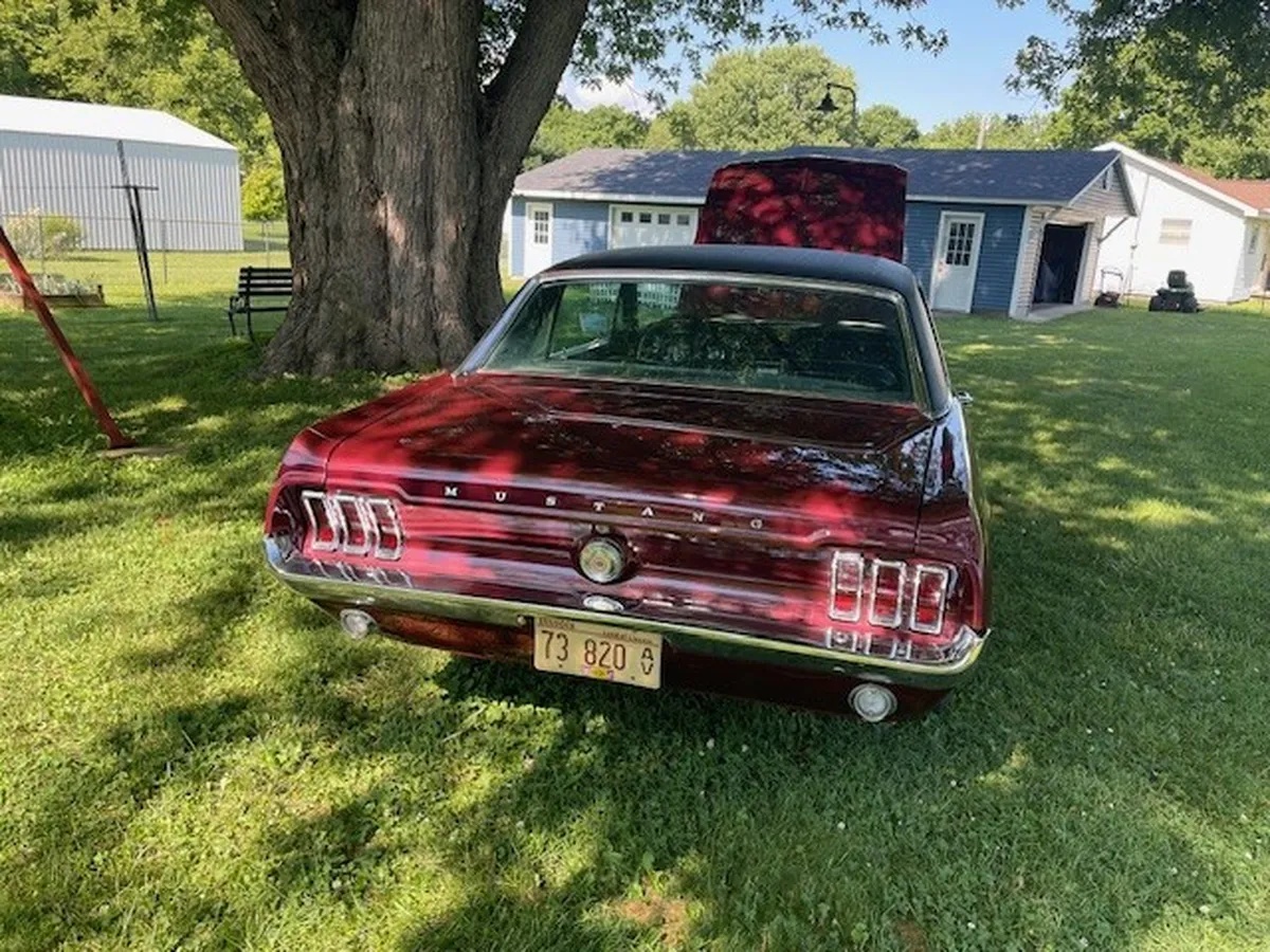 Ford-Mustang-1967-Burgandy-Red-Metallic-Black-6