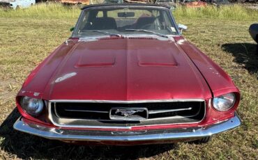 Ford-Mustang-1967-Convertible-2